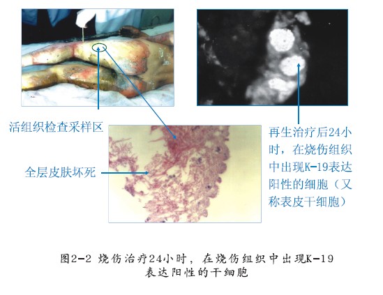 米乐|米乐·M6(中国游)官方网站