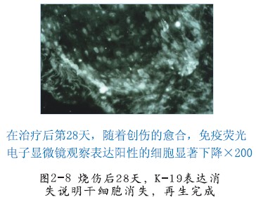 米乐|米乐·M6(中国游)官方网站