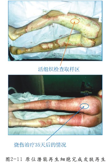 米乐|米乐·M6(中国游)官方网站