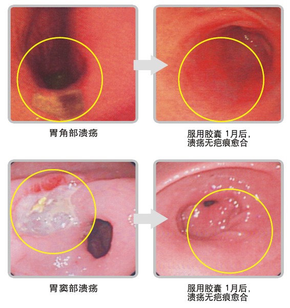 米乐|米乐·M6(中国游)官方网站