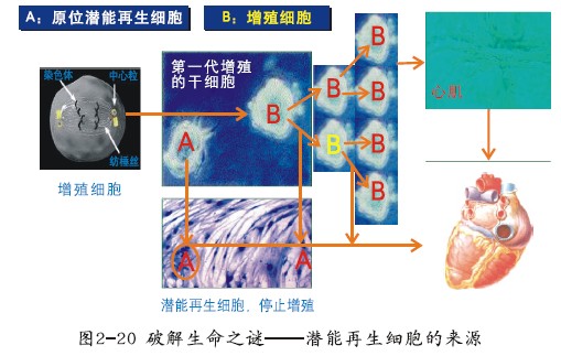 米乐|米乐·M6(中国游)官方网站