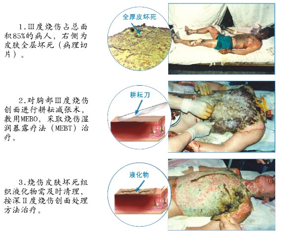 米乐|米乐·M6(中国游)官方网站