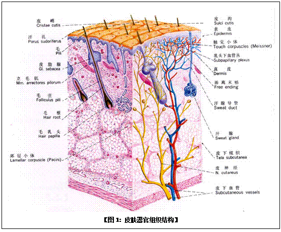米乐|米乐·M6(中国游)官方网站