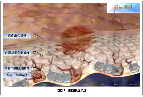 米乐|米乐·M6(中国游)官方网站
