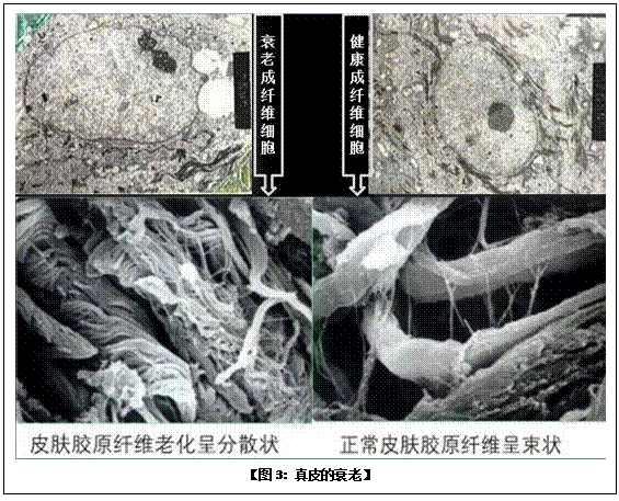 米乐|米乐·M6(中国游)官方网站