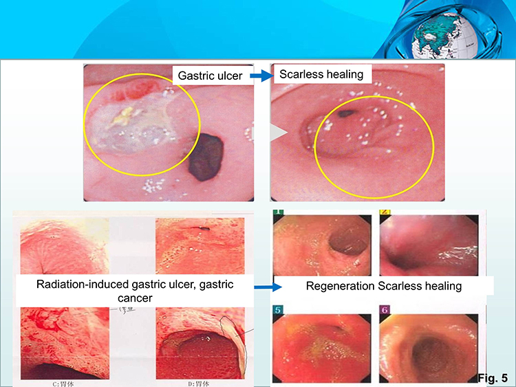米乐|米乐·M6(中国游)官方网站