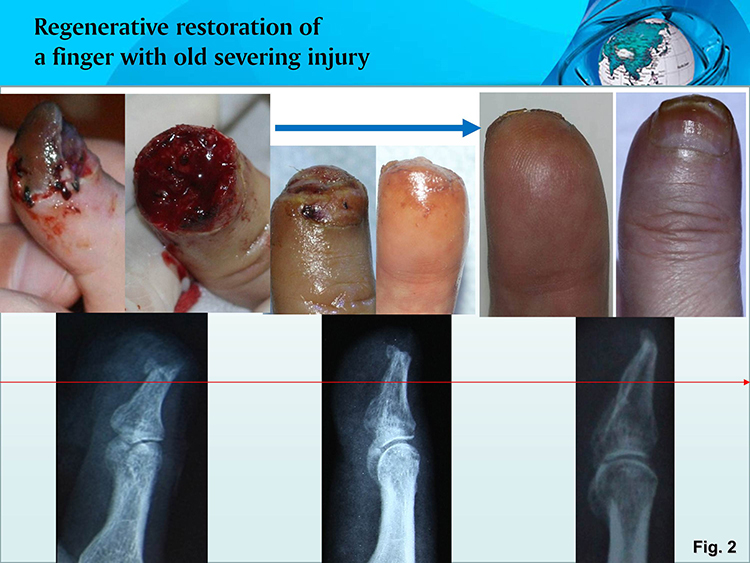 米乐|米乐·M6(中国游)官方网站