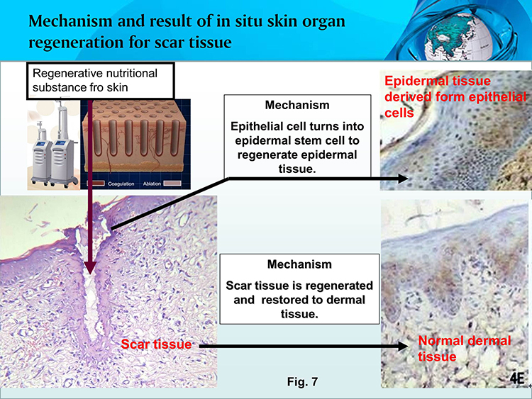 米乐|米乐·M6(中国游)官方网站
