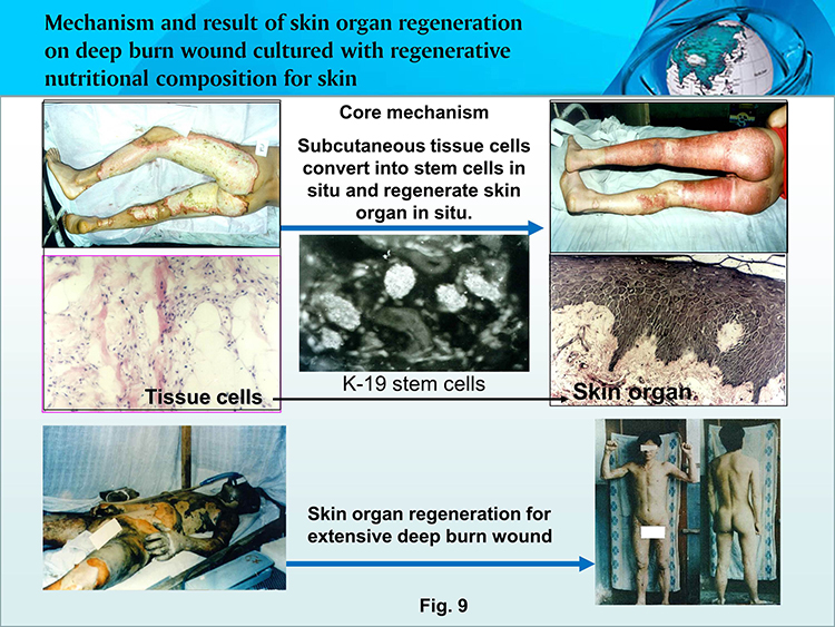 米乐|米乐·M6(中国游)官方网站