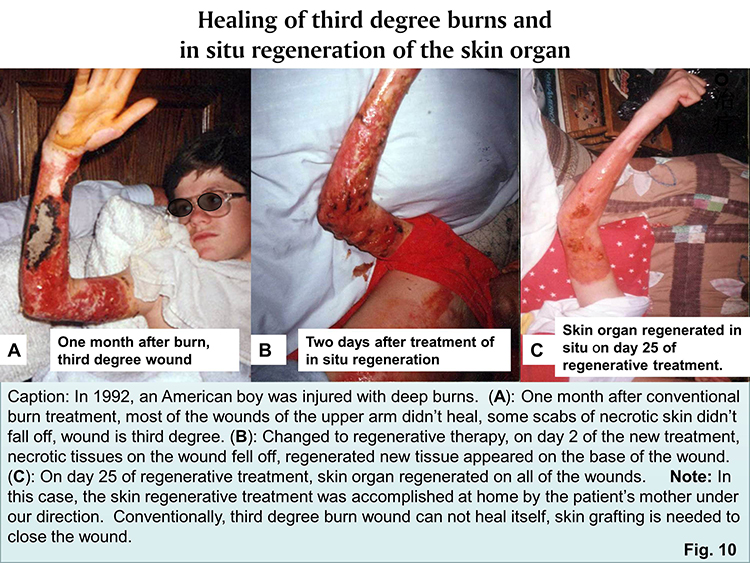 米乐|米乐·M6(中国游)官方网站