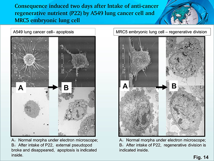 米乐|米乐·M6(中国游)官方网站