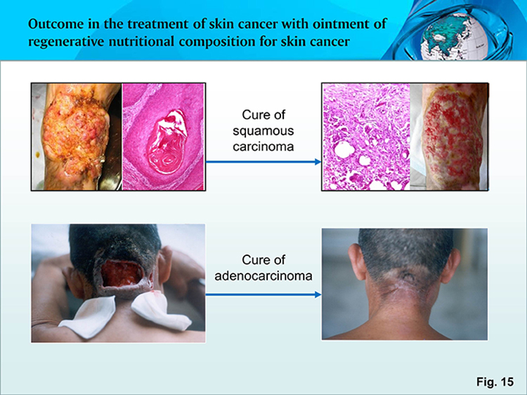 米乐|米乐·M6(中国游)官方网站