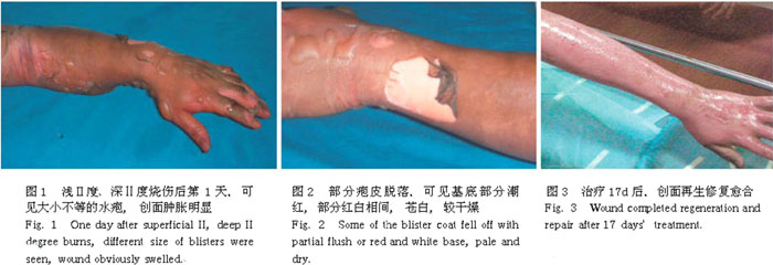 米乐|米乐·M6(中国游)官方网站