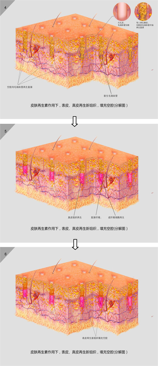 米乐|米乐·M6(中国游)官方网站