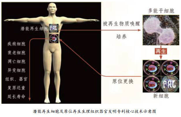 米乐|米乐·M6(中国游)官方网站