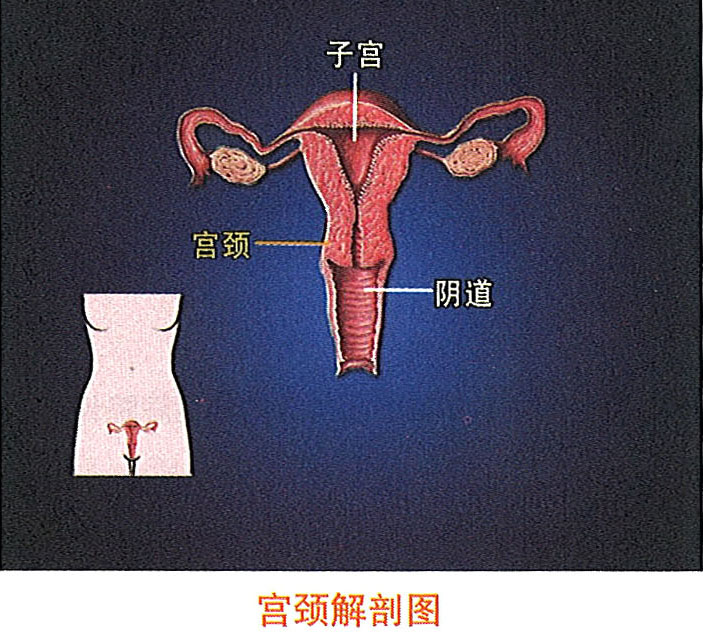 米乐|米乐·M6(中国游)官方网站