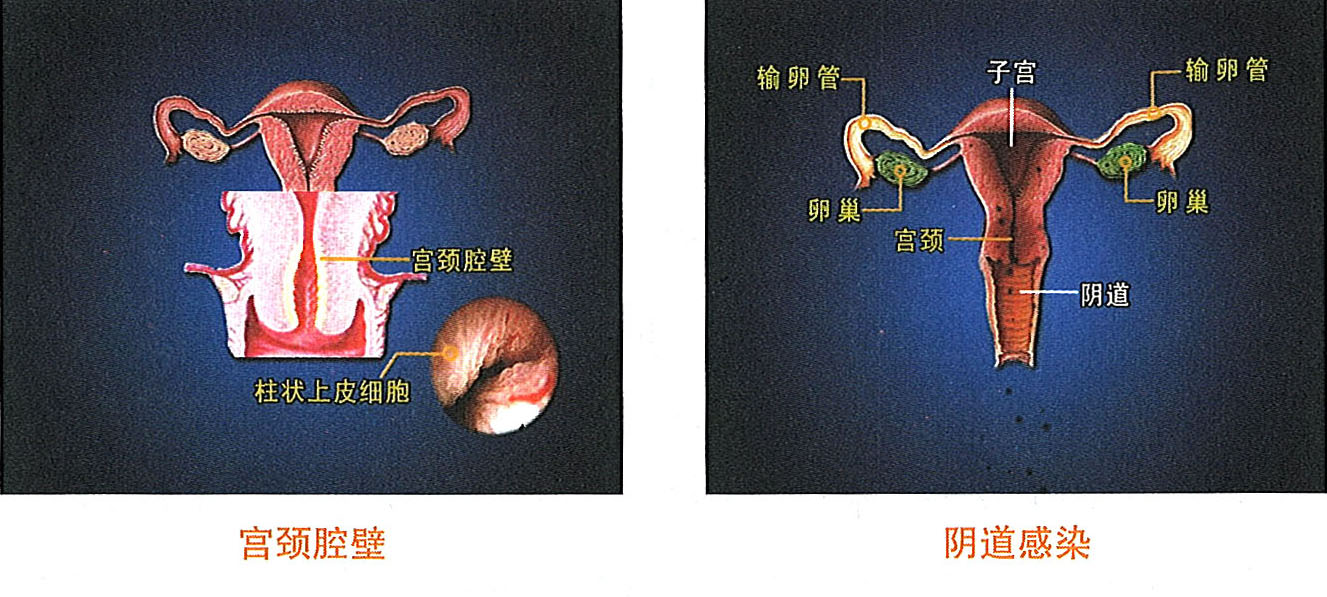 米乐|米乐·M6(中国游)官方网站