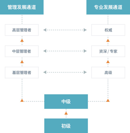 V66.COM(中国区)官方网站
